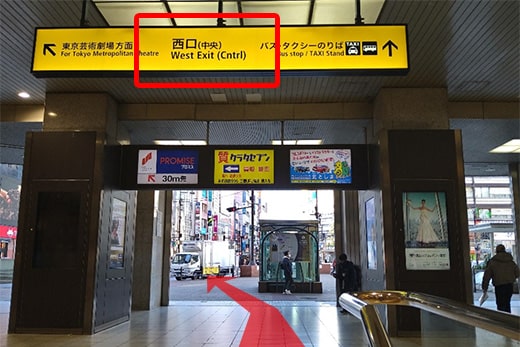 上到地面后的景色如图