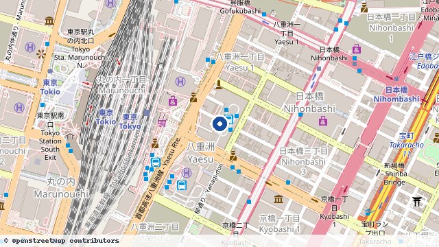 东京八重洲巴士总站 地下A 位置示意图（OpenStreetMap 快照）
